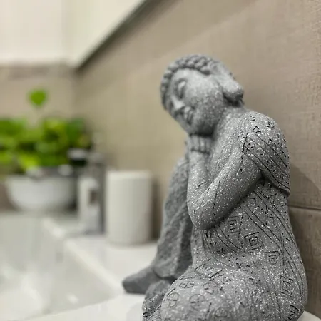 Apartment Zen Garden - Netflix, Wi-fi E Relax *